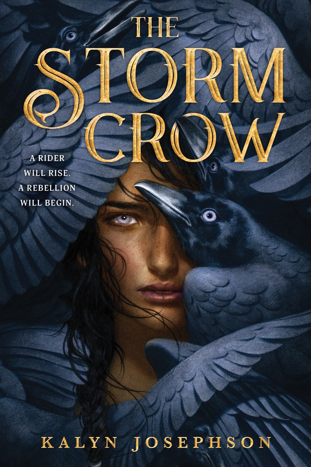 The Storm Crow - The Storm Crow Book 1 - Kalyn Josephson