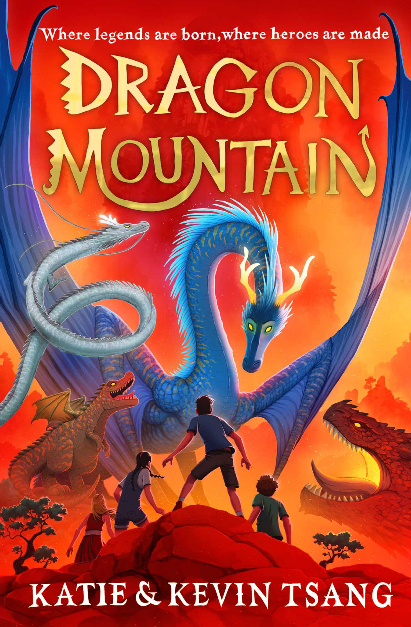 Dragon Mountain - Dragon Realm Book 1 - Katie & Kevin Tsang [Used Book]