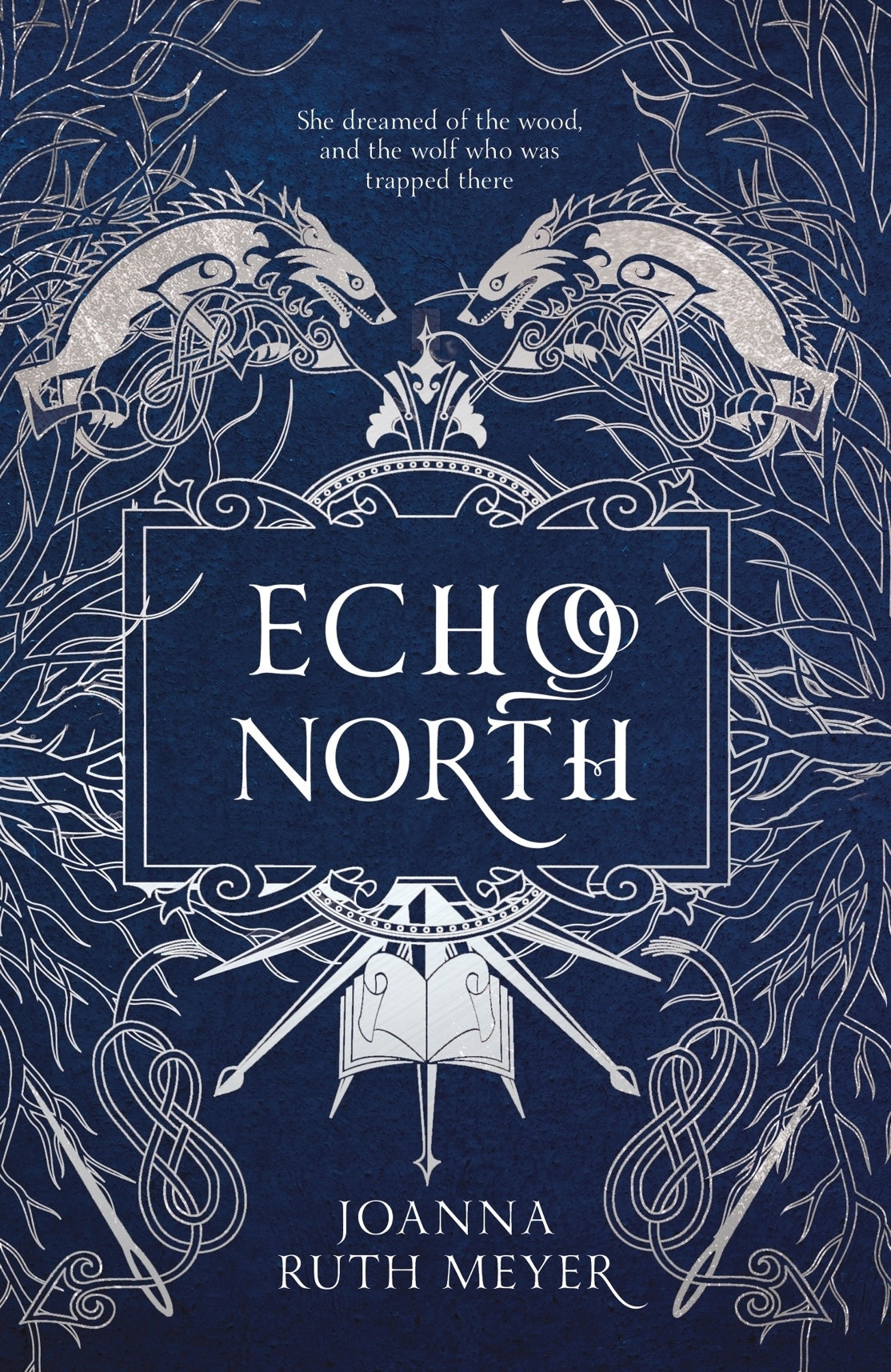 Echo North - Joanna Ruth Meyer