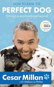 How To Raise The Perfect Dog - Cesar Millan [Used Book]