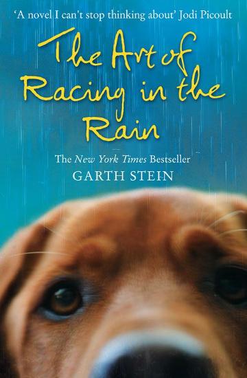 The Art Of Racing In The Rain - Garth Stein [Used Book]